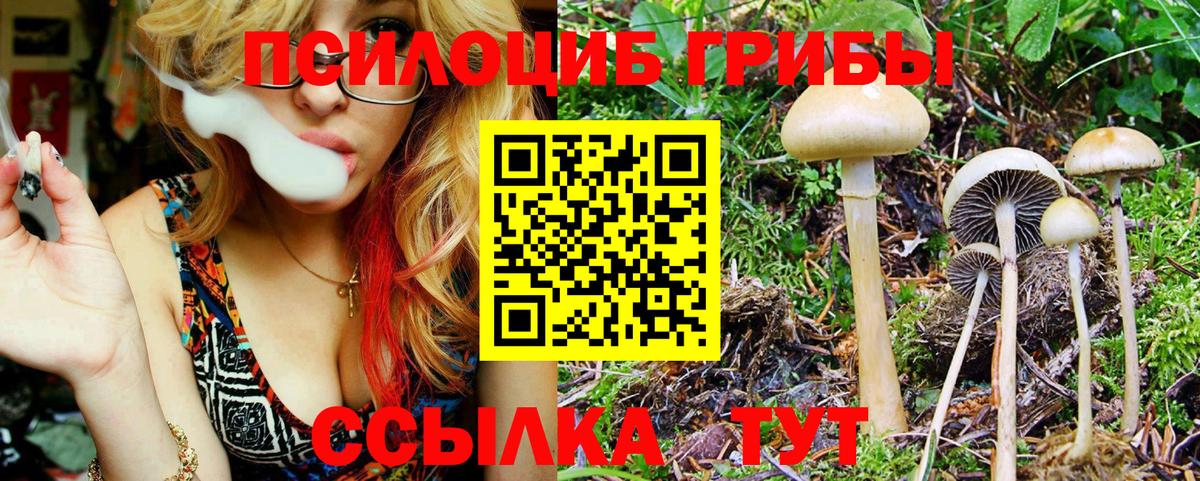 Псилоцибиновые грибы мухоморы  Псилоцибиновые грибы Cubensis  Вход с VPN  Отрадное 